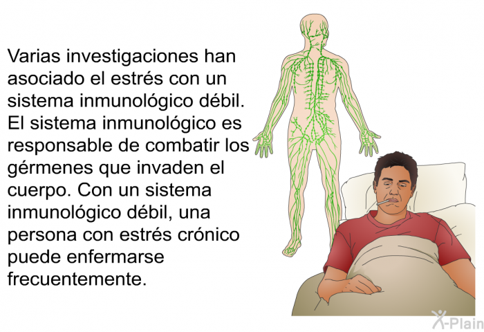 Varias investigaciones han asociado el estrs con un sistema inmunolgico dbil. El sistema inmunolgico es responsable de combatir los grmenes que invaden el cuerpo. Con un sistema inmunolgico dbil, una persona con estrs crnico puede enfermarse frecuentemente. 