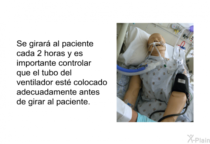 Se girar al paciente cada 2 horas y es importante controlar que el tubo del ventilador est colocado adecuadamente antes de girar al paciente.