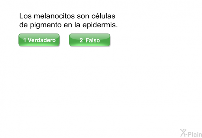 Los melanocitos son clulas de pigmento en la epidermis.