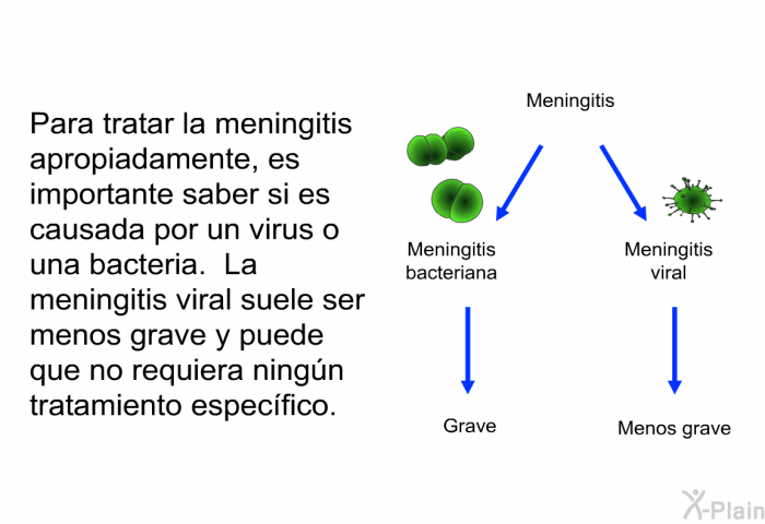 Para tratar la meningitis apropiadamente, es importante saber si es causada por un virus o una bacteria. La meningitis viral suele ser menos grave y puede que no requiera ningn tratamiento especfico.