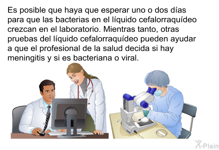 Es posible que haya que esperar uno o dos d�as para que las bacterias en el l�quido cefalorraqu�deo crezcan en el laboratorio. Mientras tanto, otras pruebas del l�quido cefalorraqu�deo pueden ayudar a que el profesional de la salud decida si hay meningitis y si es bacteriana o viral.