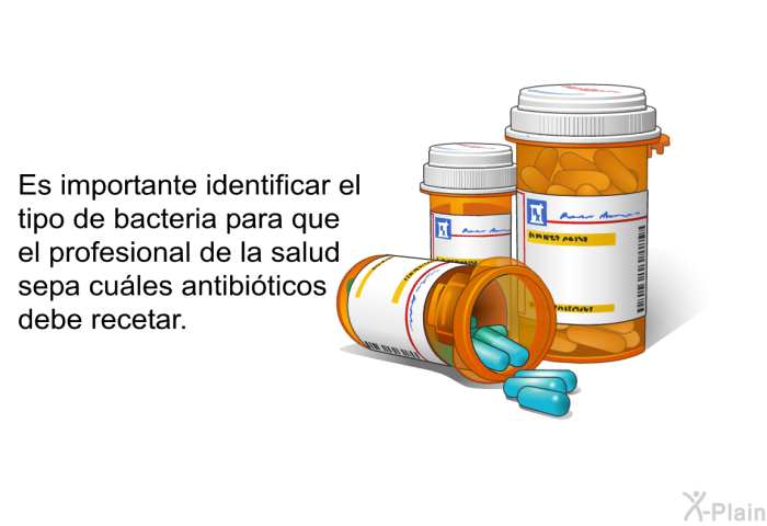 Es importante identificar el tipo de bacteria para que el profesional de la salud sepa cu�les antibi�ticos debe recetar.
