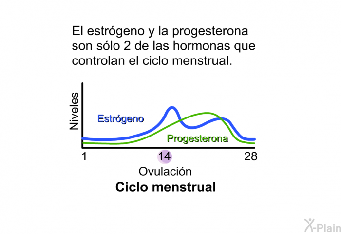 El estrgeno y la progesterona son slo 2 de las hormonas que controlan el ciclo menstrual.
