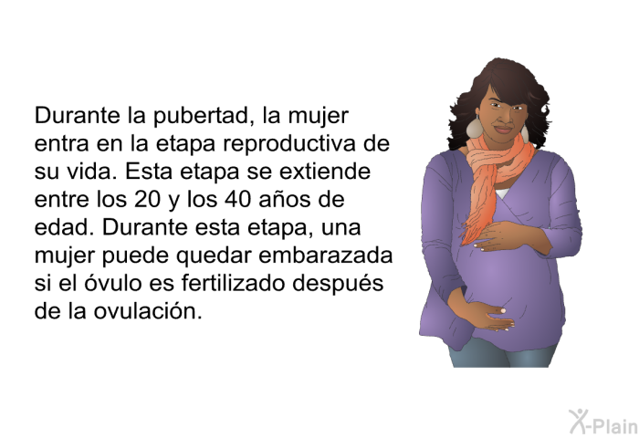 Durante la pubertad, la mujer entra en la etapa reproductiva de su vida. Esta etapa se extiende entre los 20 y los 40 a�os de edad. Durante esta etapa, una mujer puede quedar embarazada si el �vulo es fertilizado despu�s de la ovulaci�n.