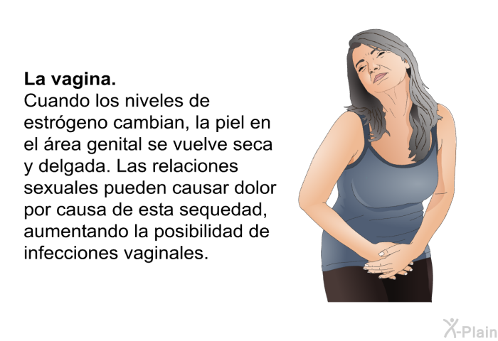 <B>La vagina: </B> Cuando los niveles de estr�geno cambian, la piel en el �rea genital se vuelve seca y delgada. Las relaciones sexuales pueden causar dolor por causa de esta sequedad, aumentando la posibilidad de infecciones vaginales.