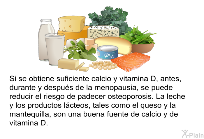 Si se obtiene suficiente calcio y vitamina D, antes, durante y despu�s de la menopausia, se puede reducir el riesgo de padecer osteoporosis. La leche y los productos l�cteos, tales como el queso y la mantequilla, son una buena fuente de calcio y de vitamina D.