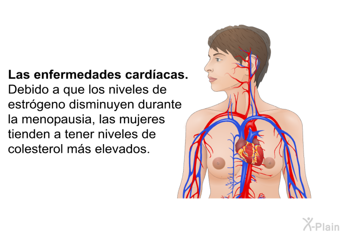 <B>Las enfermedades card�acas: </B> Debido a que los niveles de estr�geno disminuyen durante la menopausia, las mujeres tienden a tener niveles de colesterol m�s elevados.