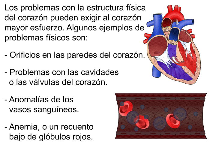 Los problemas con la estructura fsica del corazn pueden exigir al corazn mayor esfuerzo. Algunos ejemplos de problemas fsicos son:  Orificios en las paredes del corazn. Problemas con las cavidades o las vlvulas del corazn. Anomalas de los vasos sanguneos. Anemia, o un recuento bajo de glbulos rojos.