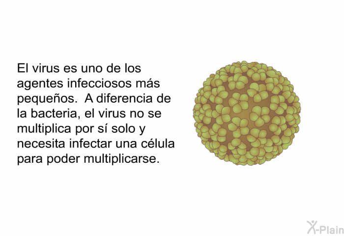 El virus es uno de los agentes infecciosos ms pequeos. A diferencia de la bacteria, el virus no se multiplica por s solo y necesita infectar una clula para poder multiplicarse.