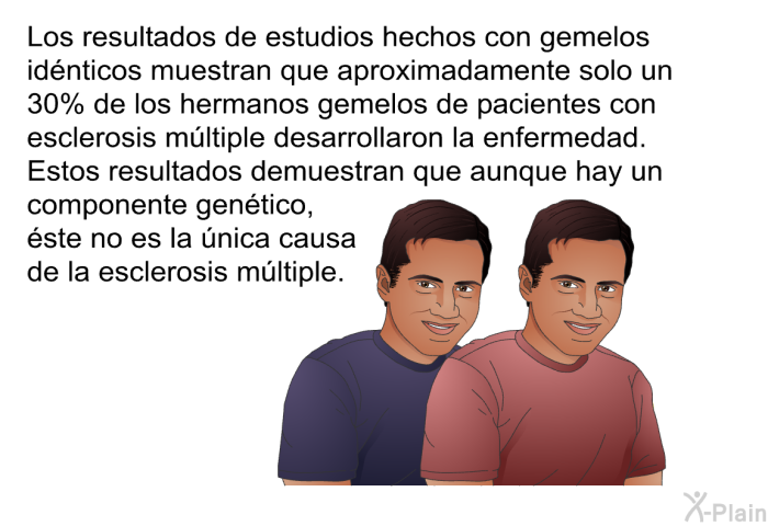 Los resultados de estudios hechos con gemelos id�nticos muestran que aproximadamente solo un 30% de los hermanos gemelos de pacientes con esclerosis m�ltiple desarrollaron la enfermedad. Estos resultados demuestran que aunque hay un componente gen�tico, �ste no es la �nica causa de la esclerosis m�ltiple.