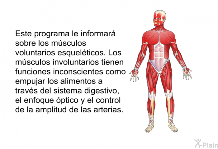 Esta informacin acerca de su salud le informar sobre los msculos voluntarios esquelticos. Los msculos involuntarios tienen funciones inconscientes como empujar los alimentos a travs del sistema digestivo, el enfoque ptico y el control de la amplitud de las arterias.