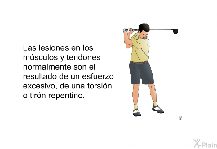 Las lesiones en los msculos y tendones normalmente son el resultado de un esfuerzo excesivo, de una torsin o tirn repentino.