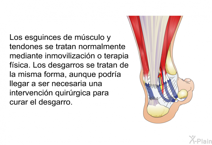 Los esguinces de m�sculo y tendones se tratan normalmente mediante inmovilizaci�n o terapia f�sica. Los desgarros se tratan de la misma forma, aunque podr�a llegar a ser necesaria una intervenci�n quir�rgica para curar el desgarro.