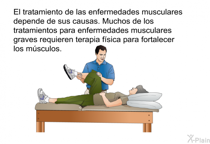El tratamiento de las enfermedades musculares depende de sus causas. Muchos de los tratamientos para enfermedades musculares graves requieren terapia f�sica para fortalecer los m�sculos.