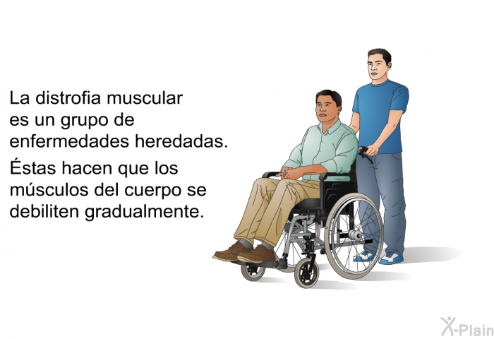 La distrofia muscular es un grupo de enfermedades heredadas. Éstas hacen que los msculos del cuerpo se debiliten gradualmente.