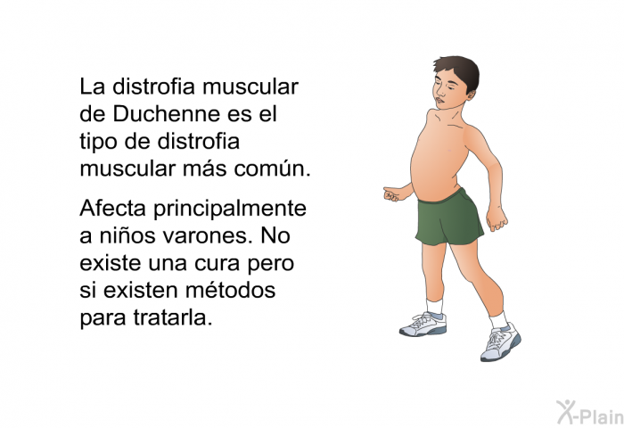 La distrofia muscular de Duchenne es el tipo de distrofia muscular ms comn. Afecta principalmente a nios varones. No existe una cura pero si existen mtodos para tratarla.