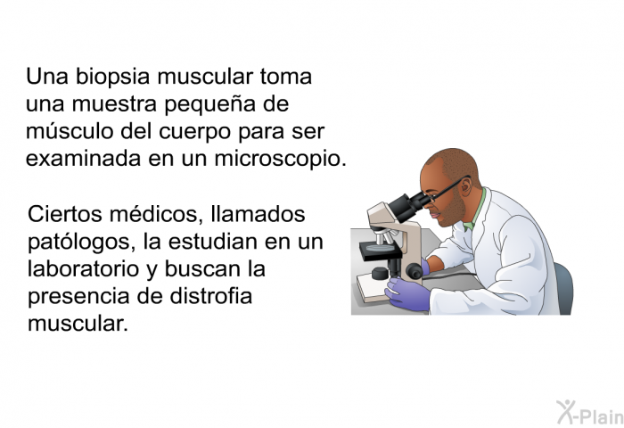 Una biopsia muscular toma una muestra pequea de msculo del cuerpo para ser examinada en un microscopio. Ciertos mdicos, llamados patlogos, la estudian en un laboratorio y buscan la presencia de distrofia muscular.