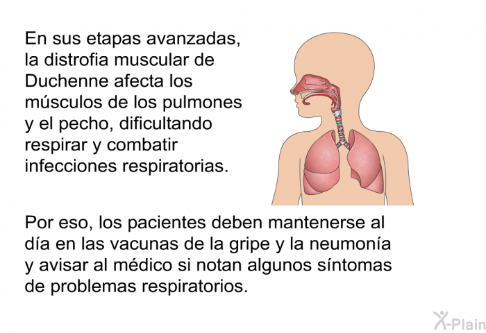 En sus etapas avanzadas, la distrofia muscular de Duchenne afecta los m�sculos de los pulmones y el pecho, dificultando respirar y combatir infecciones respiratorias. Por eso, los pacientes deben mantenerse al d�a en las vacunas de la gripe y la neumon�a y avisar al m�dico si notan algunos s�ntomas de problemas respiratorios.