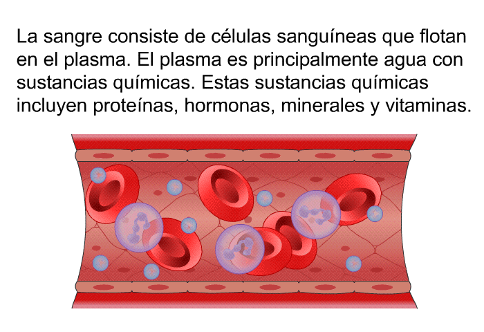La sangre consiste de clulas sanguneas que flotan en el plasma. El plasma es principalmente agua con sustancias qumicas. Estas sustancias qumicas incluyen protenas, hormonas, minerales y vitaminas.