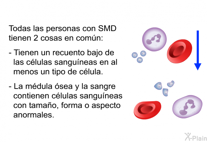 Todas las personas con SMD tienen 2 cosas en comn: 
  Tienen un recuento bajo de las clulas sanguneas en al menos un tipo de clula. La mdula sea y la sangre contienen clulas sanguneas con tamao, forma o aspecto anormales.