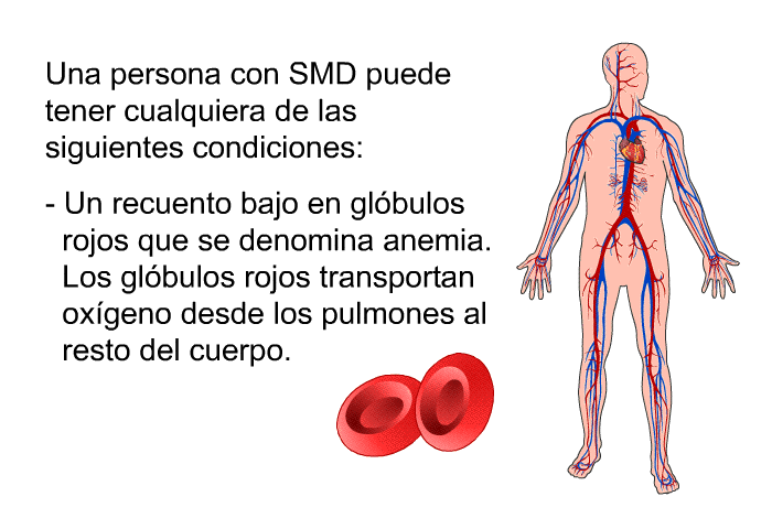 Una persona con SMD puede tener cualquiera de las siguientes condiciones: 
  Un recuento bajo en gl�bulos rojos que se denomina anemia. Los gl�bulos rojos transportan ox�geno desde los pulmones al resto del cuerpo.