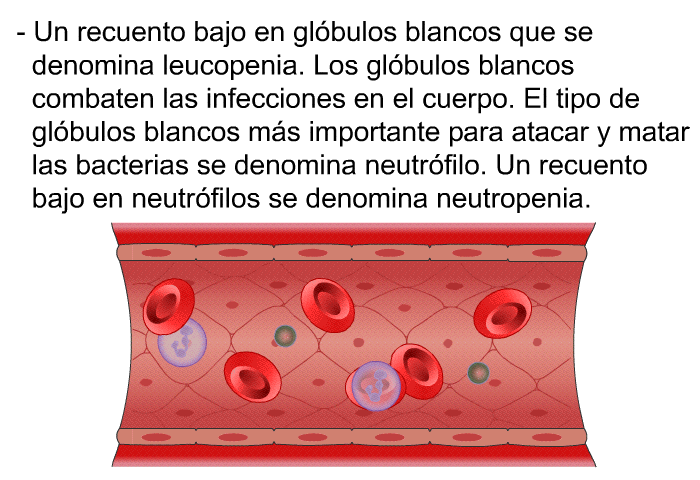 Un recuento bajo en gl�bulos blancos que se denomina leucopenia. Los gl�bulos blancos combaten las infecciones en el cuerpo. El tipo de gl�bulos blancos m�s importante para atacar y matar las bacterias se denomina neutr�filo. Un recuento bajo en neutr�filos se denomina neutropenia.