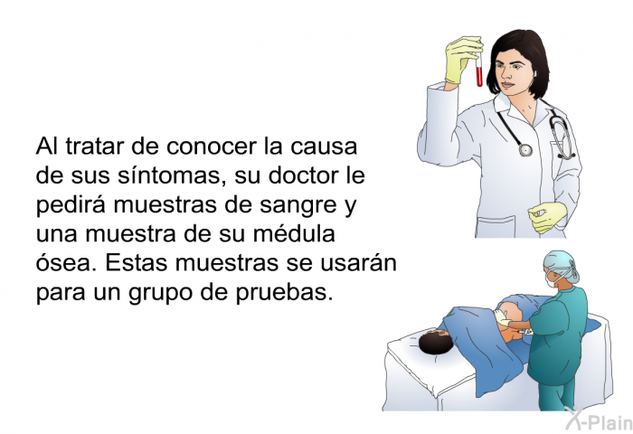 Al tratar de conocer la causa de sus sntomas, su doctor le pedir muestras de sangre y una muestra de su mdula sea. Estas muestras se usarn para un grupo de pruebas.
