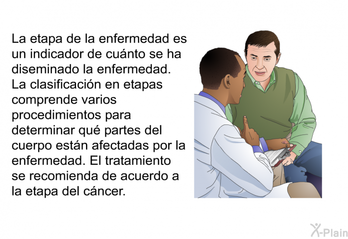 La etapa de la enfermedad es un indicador de cunto se ha diseminado la enfermedad. La clasificacin en etapas comprende varios procedimientos para determinar qu partes del cuerpo estn afectadas por la enfermedad. El tratamiento se recomienda de acuerdo a la etapa del cncer.
