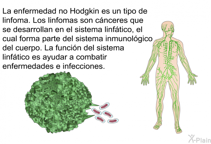 La enfermedad no Hodgkin es un tipo de linfoma. Los linfomas son cnceres que se desarrollan en el sistema linftico, el cual forma parte del sistema inmunolgico del cuerpo. La funcin del sistema linftico es ayudar a combatir enfermedades e infecciones.