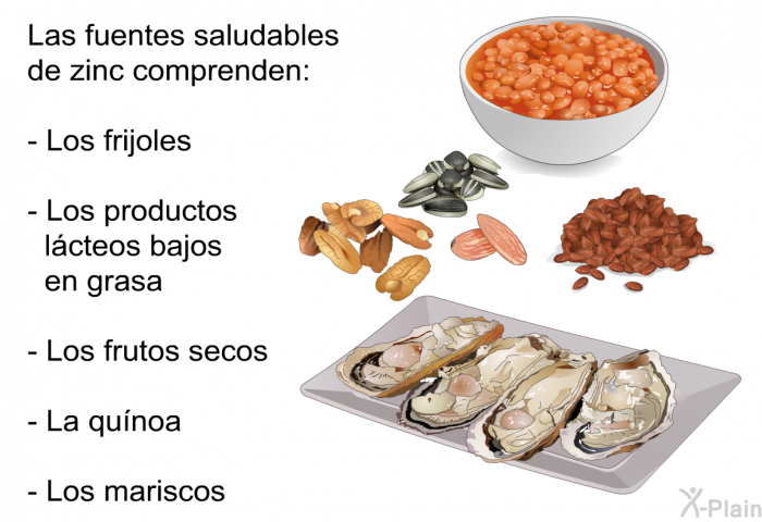 Las fuentes saludables de zinc comprenden:  Los frijoles Los productos lcteos bajos en grasa Los frutos secos La qunoa Los mariscos