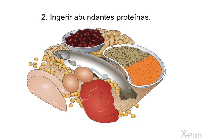 Ingerir abundantes protenas.