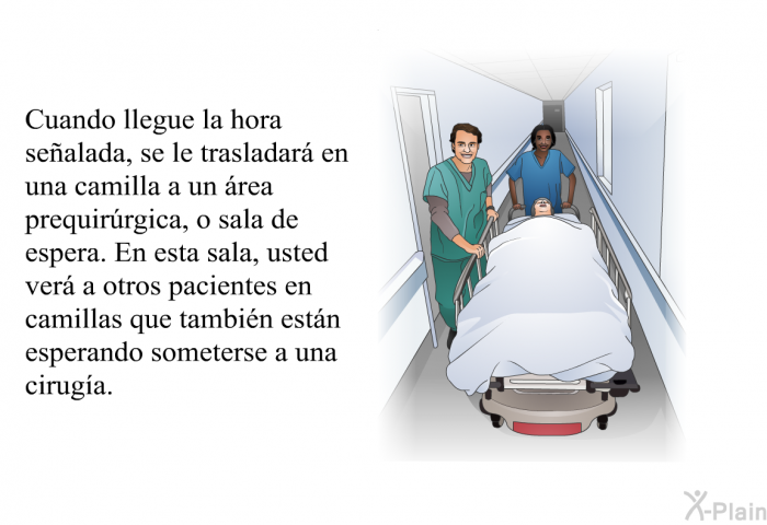 Cuando llegue la hora sealada, se le trasladar en una camilla a un rea prequirrgica, o sala de espera. En esta sala, usted ver a otros pacientes en camillas que tambin estn esperando someterse a una ciruga.