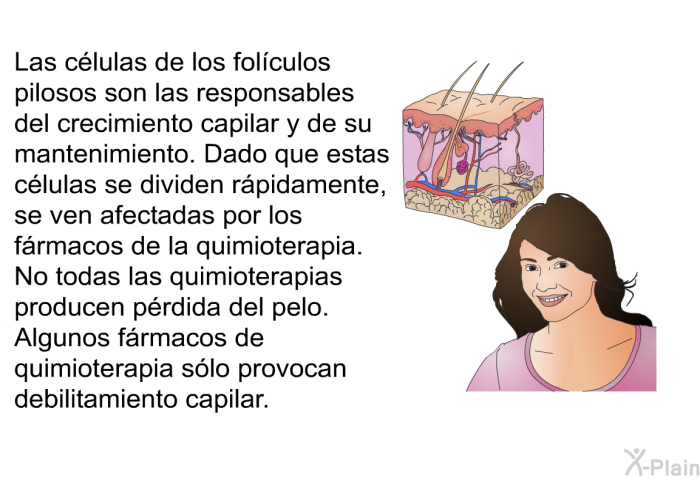 Las clulas de los folculos pilosos son las responsables del crecimiento capilar y de su mantenimiento. Dado que estas clulas se dividen rpidamente, se ven afectadas por los frmacos de la quimioterapia. No todas las quimioterapias producen prdida del pelo. Algunos frmacos de quimioterapia slo provocan debilitamiento capilar.