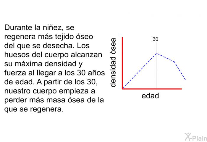 Durante la niez, se regenera ms tejido seo del que se desecha. Los huesos del cuerpo alcanzan su mxima densidad y fuerza al llegar a los 30 aos de edad. A partir de los 30, nuestro cuerpo empieza a perder ms masa sea de la que se regenera.