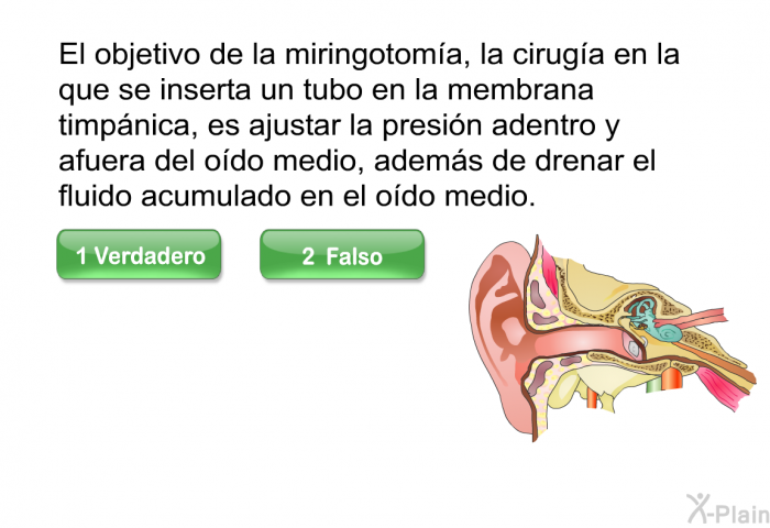 El objetivo de la miringotom�a, la cirug�a en la que se inserta un tubo en la membrana timp�nica, es ajustar la presi�n adentro y afuera del o�do medio, adem�s de drenar el fluido acumulado en el o�do medio.