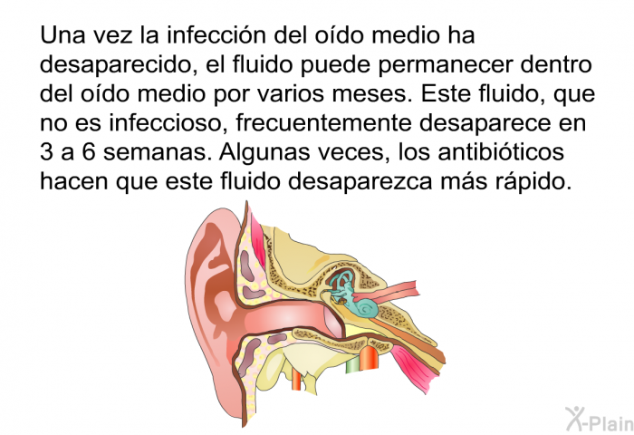 Una vez la infecci�n del o�do medio ha desaparecido, el fluido puede permanecer dentro del o�do medio por varios meses. Este fluido, que no es infeccioso, frecuentemente desaparece en 3 a 6 semanas. Algunas veces, los antibi�ticos hacen que este fluido desaparezca m�s r�pido.&nbsp;