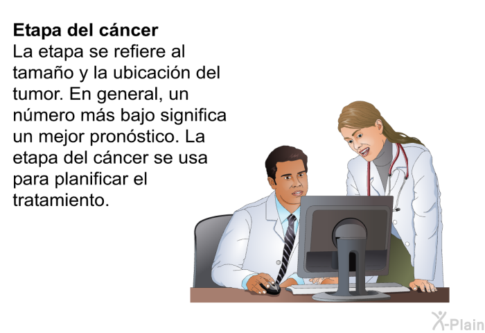 Etapa del c�ncer: La etapa se refiere al tama�o y la ubicaci�n del tumor. En general, un n�mero m�s bajo significa un mejor pron�stico. La etapa del c�ncer se usa para planificar el tratamiento.