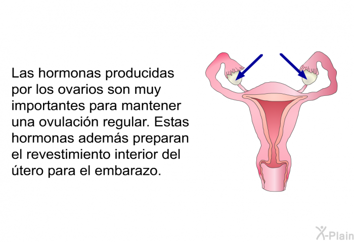Las hormonas producidas por los ovarios son muy importantes para mantener una ovulacin regular. Estas hormonas adems preparan el revestimiento interior del tero para el embarazo. 