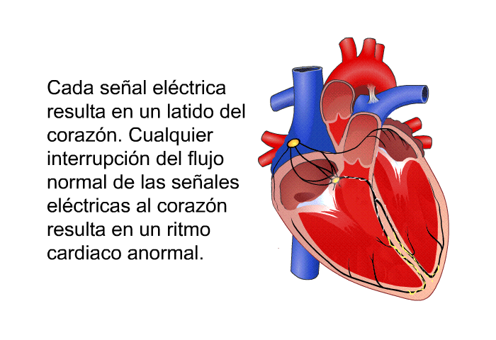 Cada seal elctrica resulta en un latido del corazn. Cualquier interrupcin del flujo normal de las seales elctricas al corazn resulta en un ritmo cardiaco anormal.