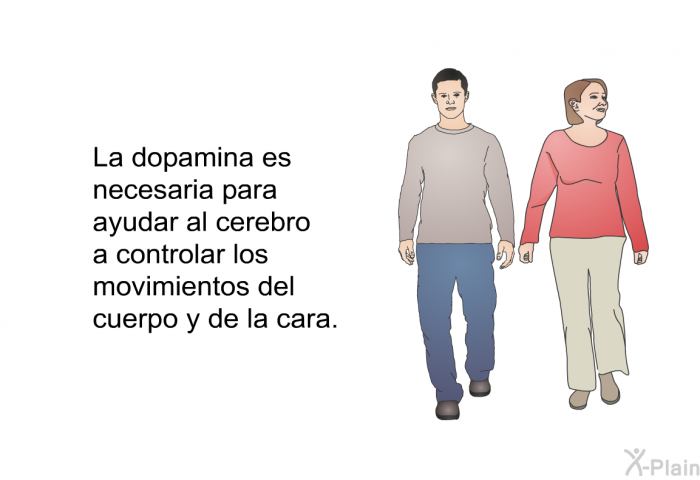 La dopamina es necesaria para ayudar al cerebro a controlar los movimientos del cuerpo y de la cara.