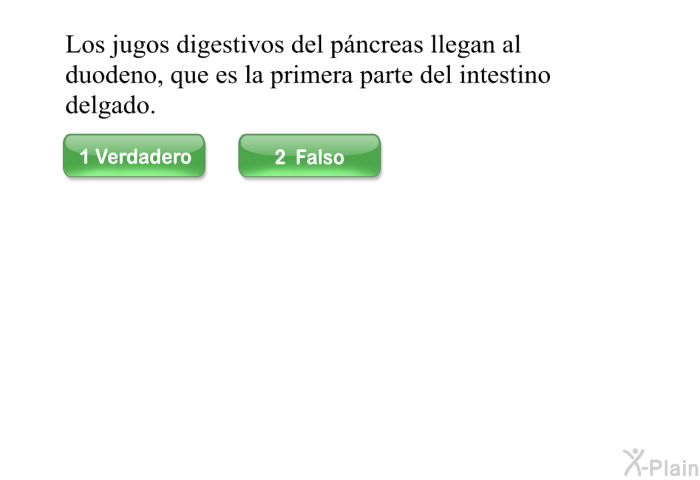 Los jugos digestivos del pncreas llegan al duodeno, que es la primera parte del intestino delgado.