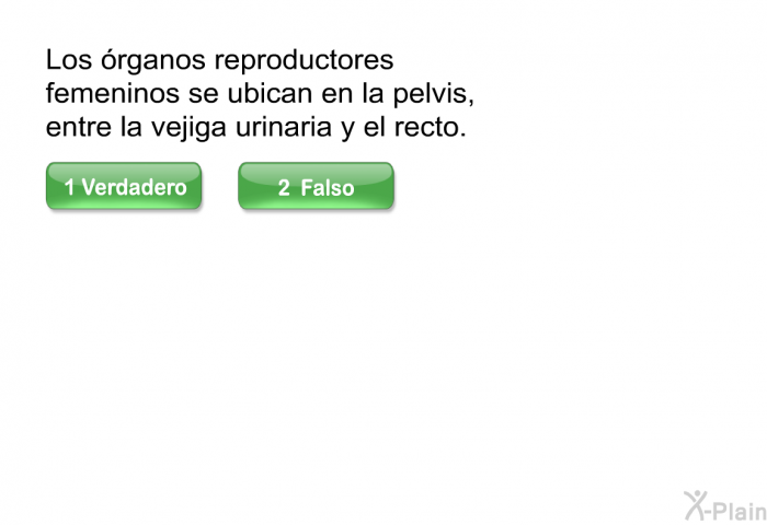 Los rganos reproductores femeninos se ubican en la pelvis, entre la vejiga urinaria y el recto.