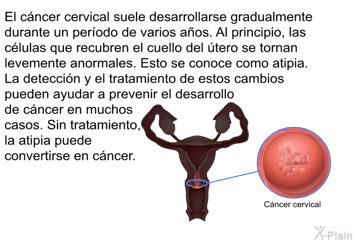 El c�ncer cervical suele desarrollarse gradualmente durante un per�odo de varios a�os. Al principio, las c�lulas que recubren el cuello del �tero se tornan levemente anormales. Esto se conoce como atipia. La detecci�n y el tratamiento de estos cambios pueden ayudar a prevenir el desarrollo de c�ncer en muchos casos. Sin tratamiento, la atipia puede convertirse en c�ncer.