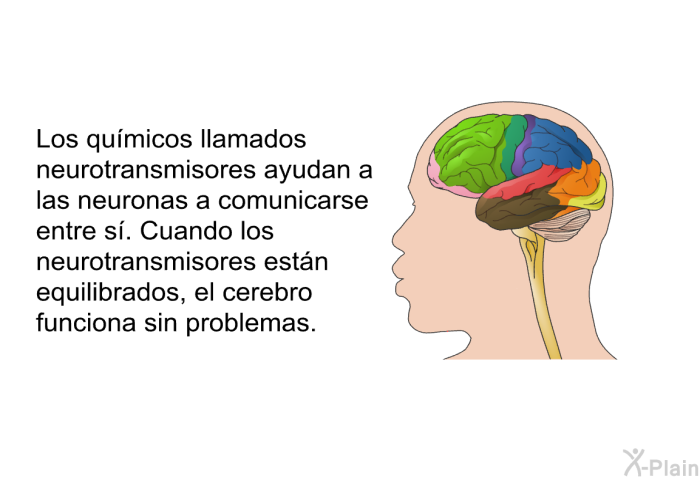 Los qumicos llamados <I>neurotransmisores</I> ayudan a las neuronas a comunicarse entre s. Cuando los neurotransmisores estn equilibrados, el cerebro funciona sin problemas.