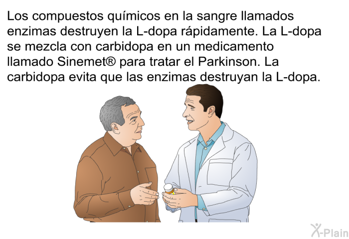Los compuestos qumicos en la sangre llamados <I>enzimas</I> destruyen la L-dopa rpidamente. La L-dopa se mezcla con carbidopa en un medicamento llamado Sinemet  para tratar el Parkinson. La carbidopa evita que las enzimas destruyan la L-dopa.