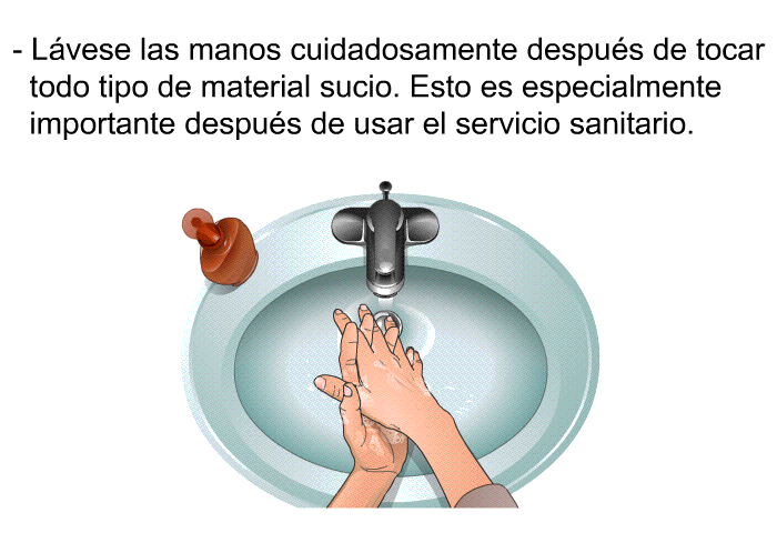 L�vese las manos cuidadosamente despu�s de tocar todo tipo de material sucio. Esto es especialmente importante despu�s de usar el servicio sanitario.