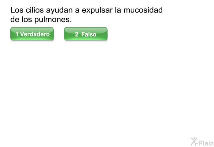 Los cilios ayudan a expulsar la mucosidad de los pulmones.
