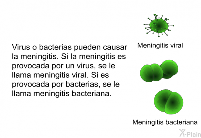 Virus o bacterias pueden causar la meningitis. Si la meningitis es provocada por un virus, se le llama meningitis viral. Si es provocada por bacterias, se le llama meningitis bacteriana.