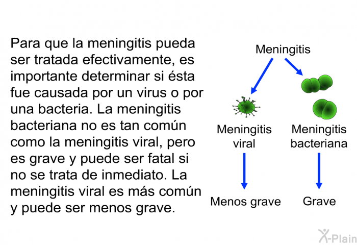 Para que la meningitis pueda ser tratada efectivamente, es importante determinar si sta fue causada por un virus o por una bacteria. La meningitis bacteriana no es tan comn como la meningitis viral, pero es grave y puede ser fatal si no se trata de inmediato. La meningitis viral es ms comn y puede ser menos grave.