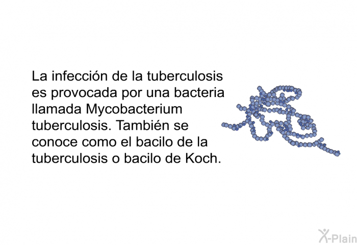 La infeccin de la tuberculosis es provocada por una bacteria llamada Mycobacterium tuberculosis. Tambin se conoce como el bacilo de la tuberculosis o bacilo de Koch.